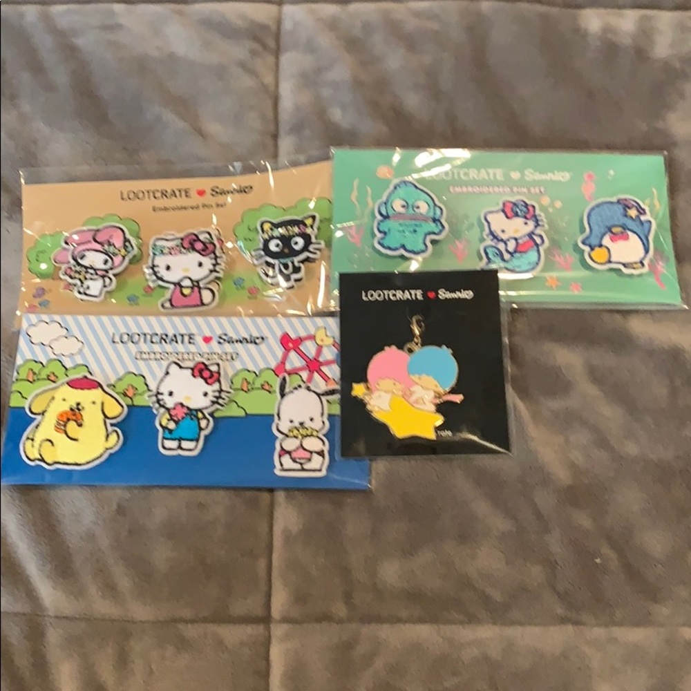 Sanrio Pin and Charm set